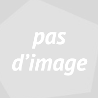 logo LA MANUFACTURE DES ARTS